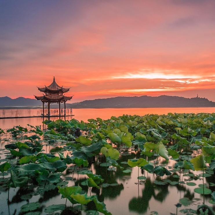 白月光朱砂痣77