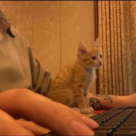 饲养员小H🐾