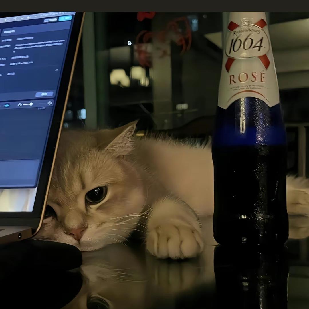 忧郁的猫🐱