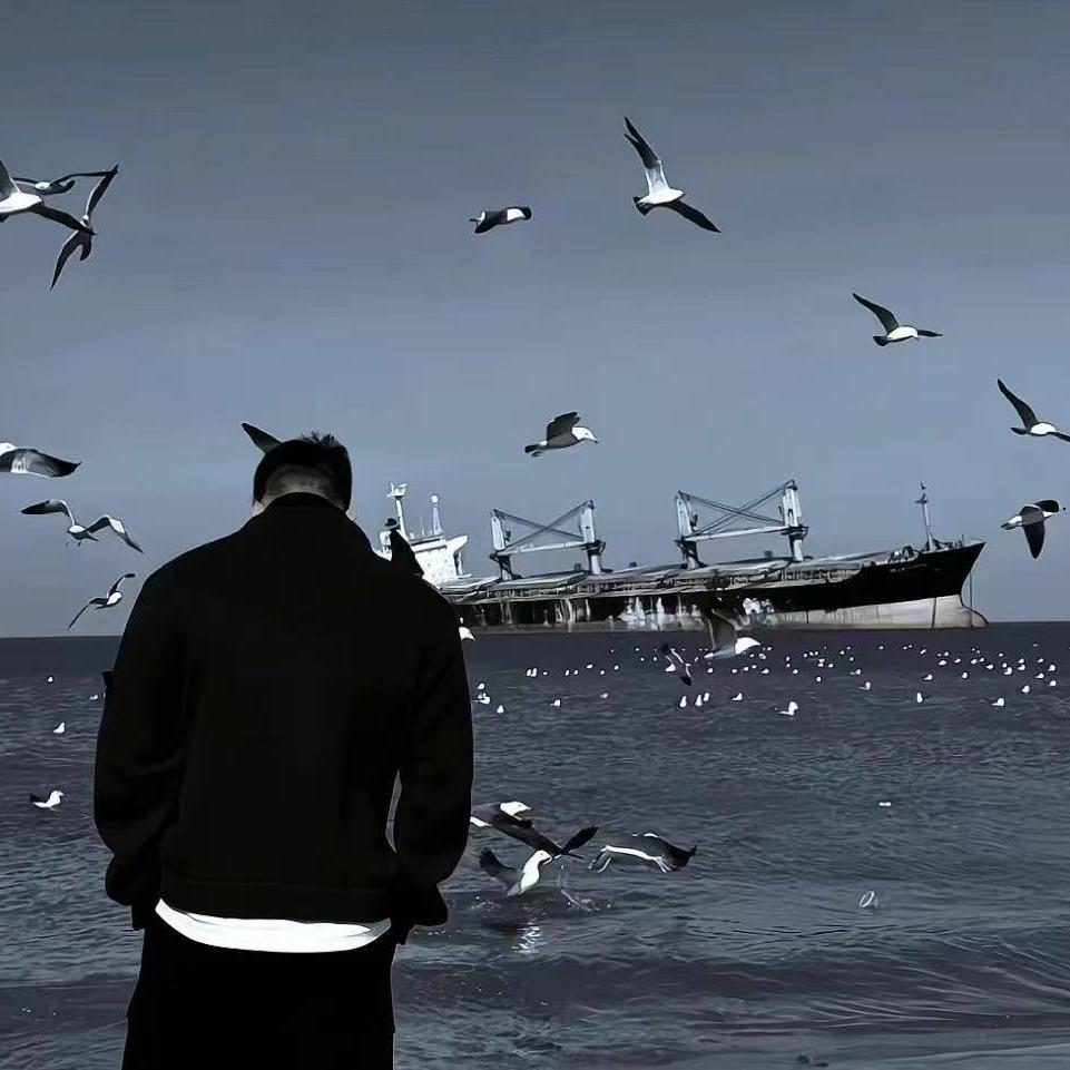 台州小鱼供应链20