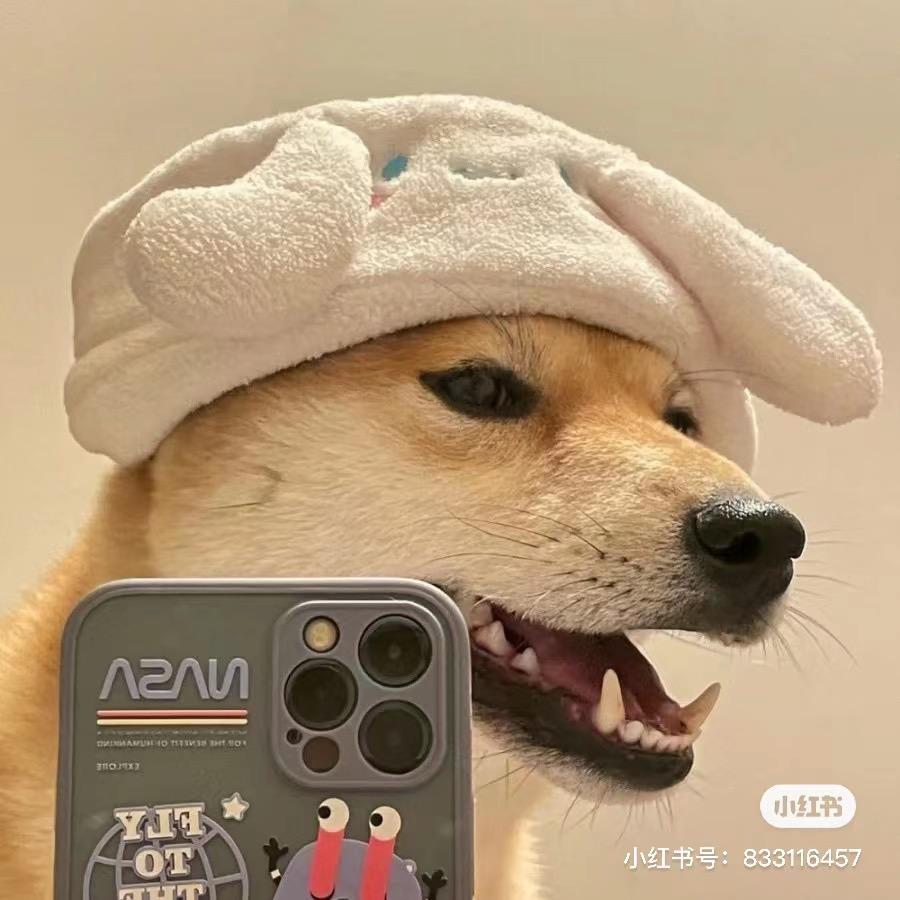 发发发