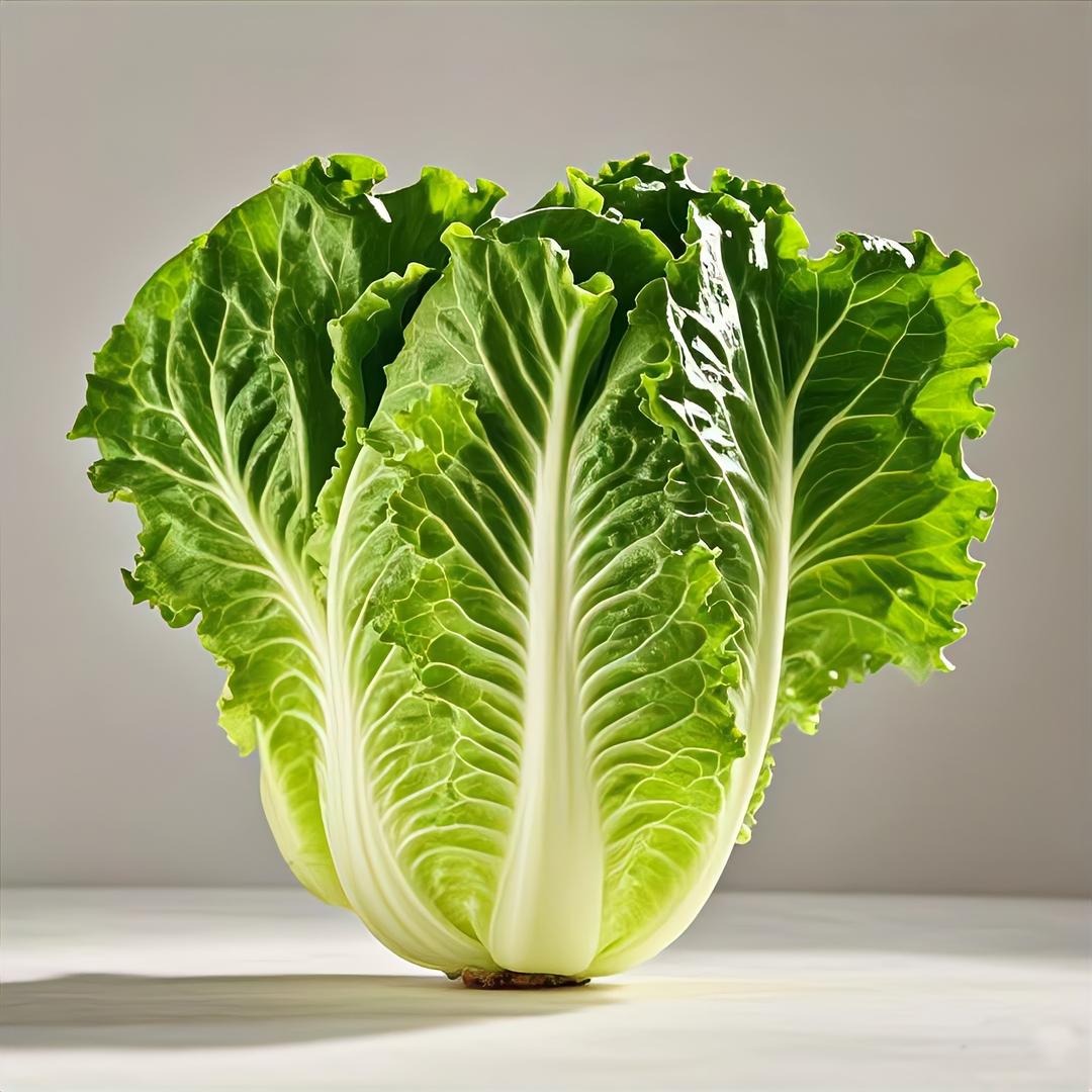 生菜短剧
