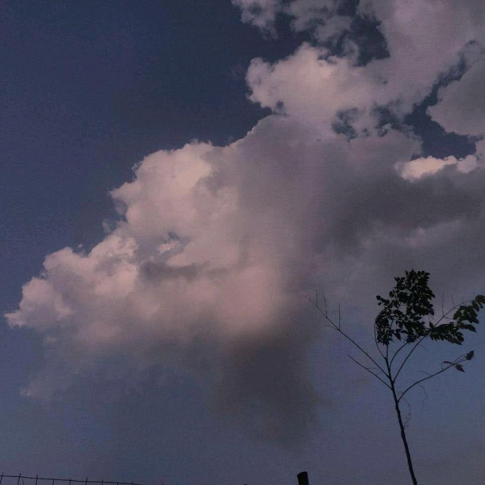 柚子小鑫