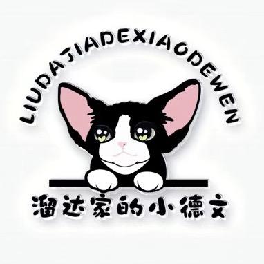溜达猫（德文卷毛猫）