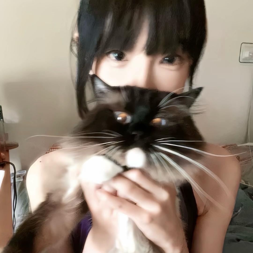 小猫不流泪