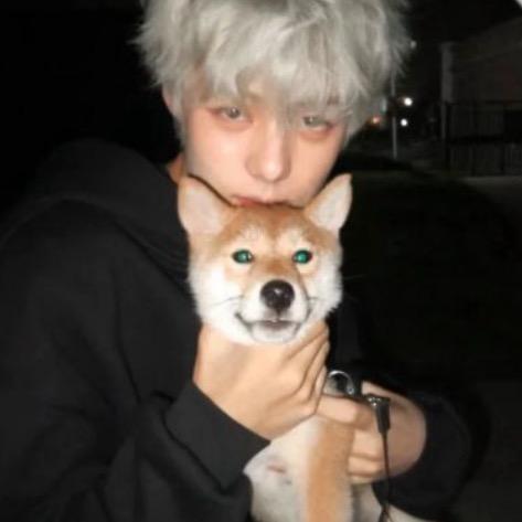爱跑步的慢羊羊