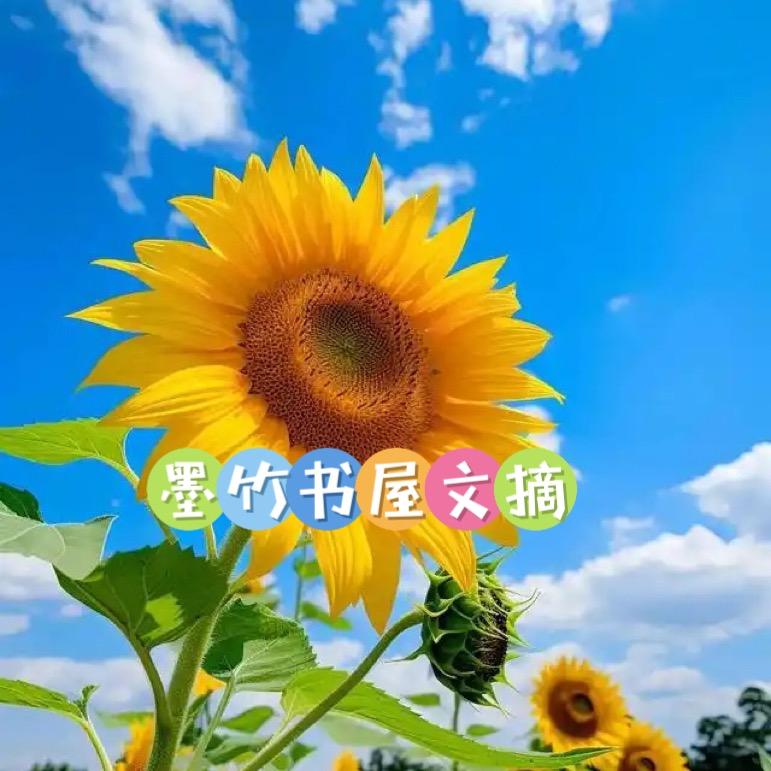 墨竹书屋