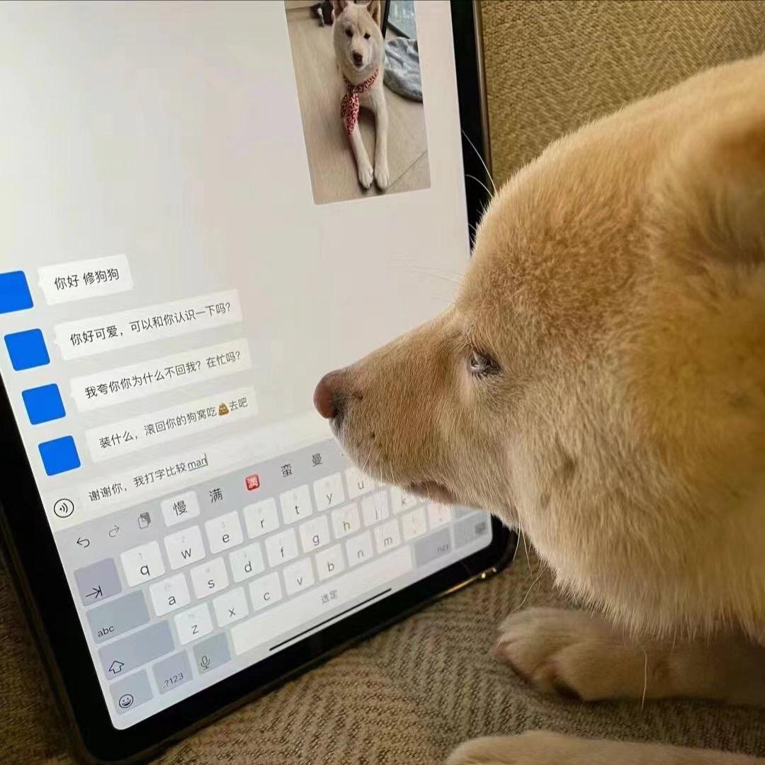 秋辞的冰淇淋化了