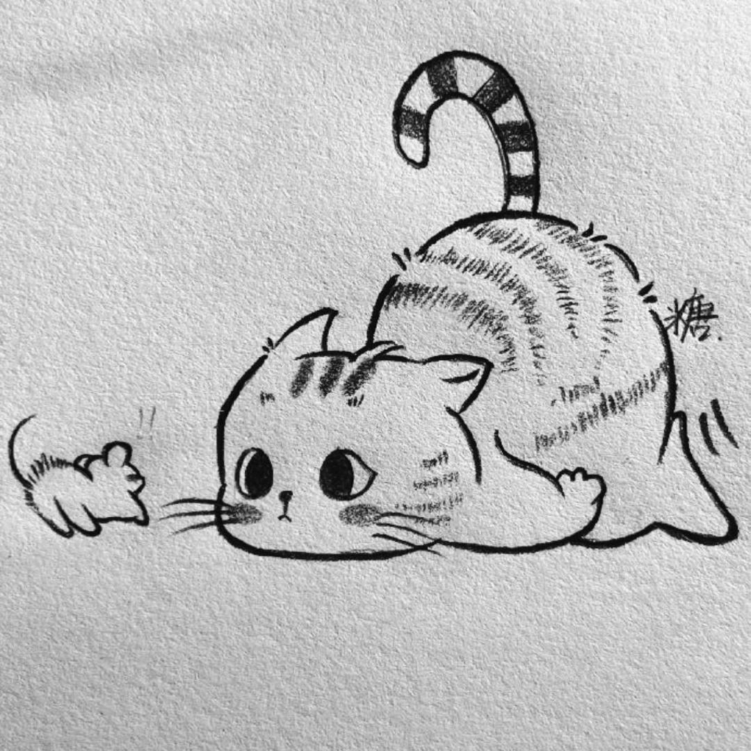 🐱🧂🐱🐟