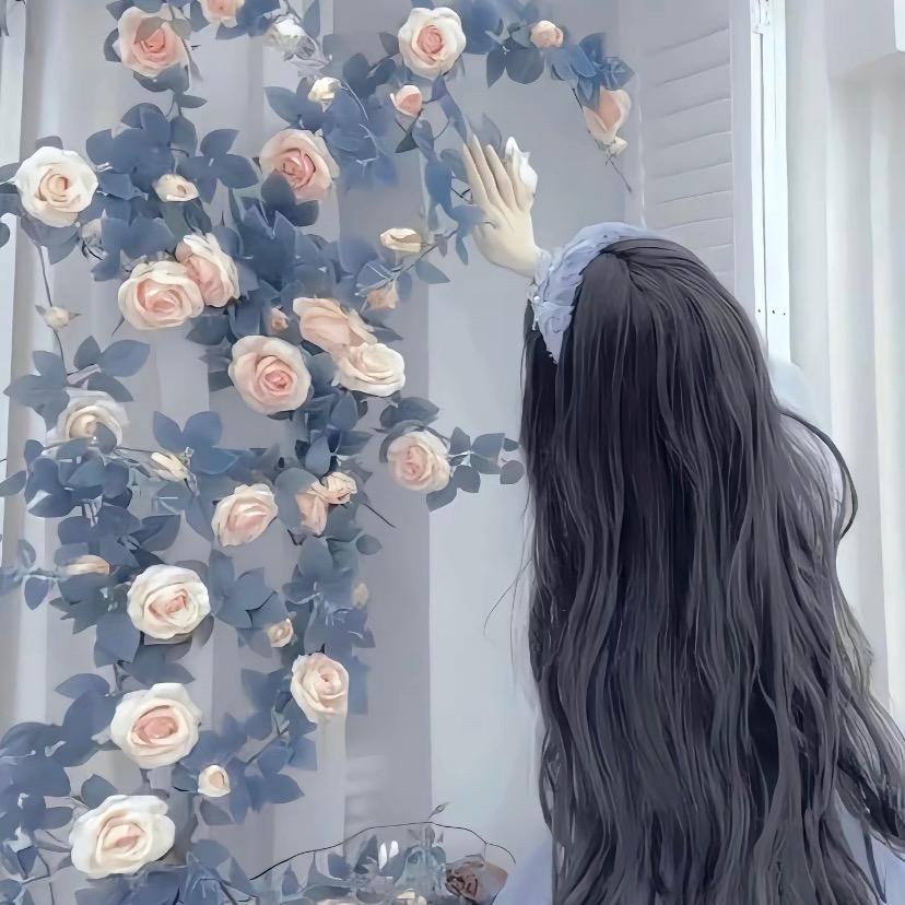 别抬我！💗