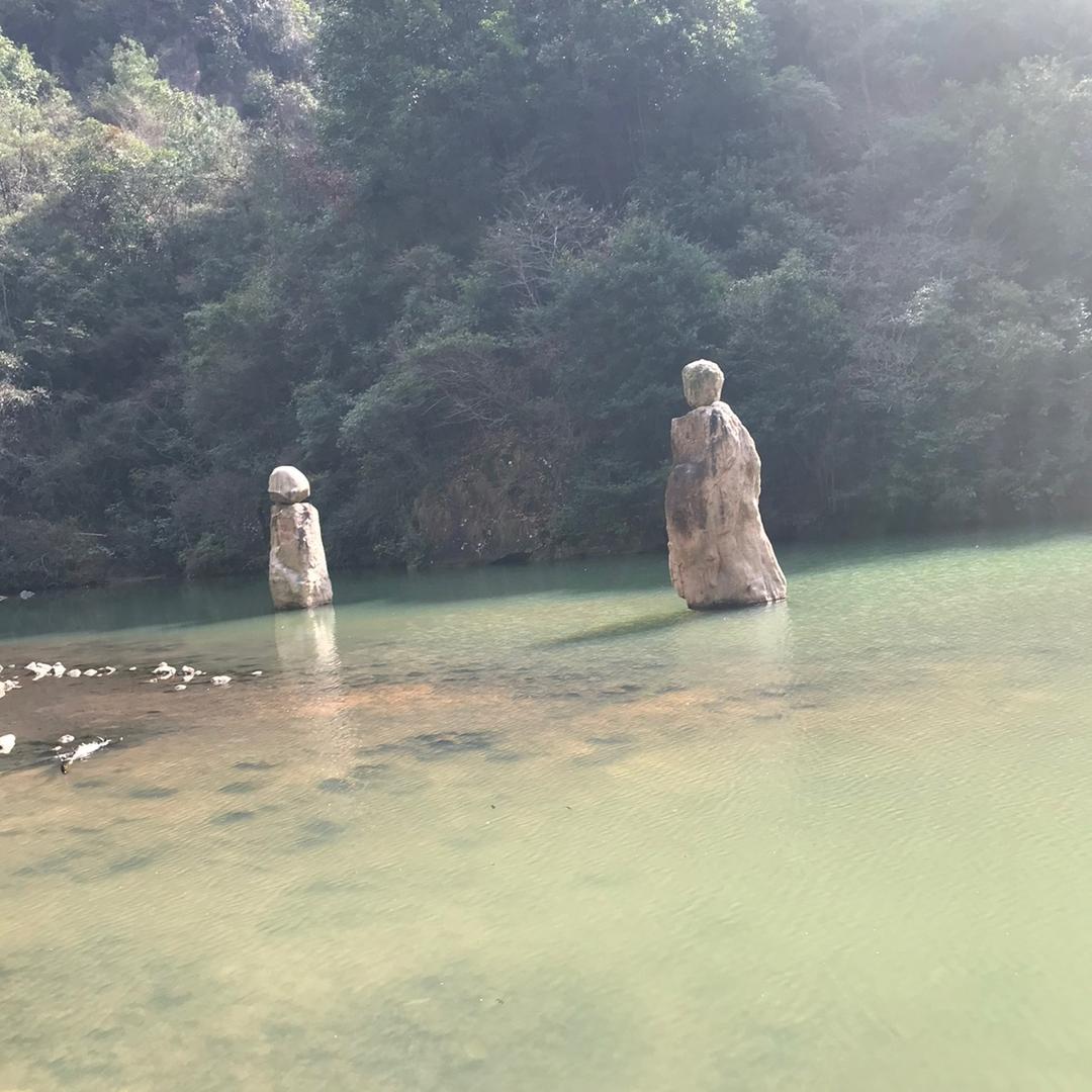 凯凯