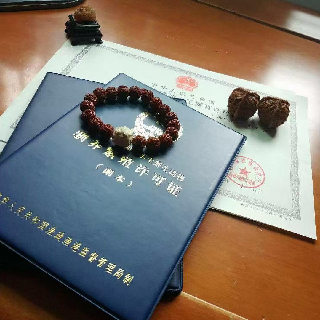小哦那个