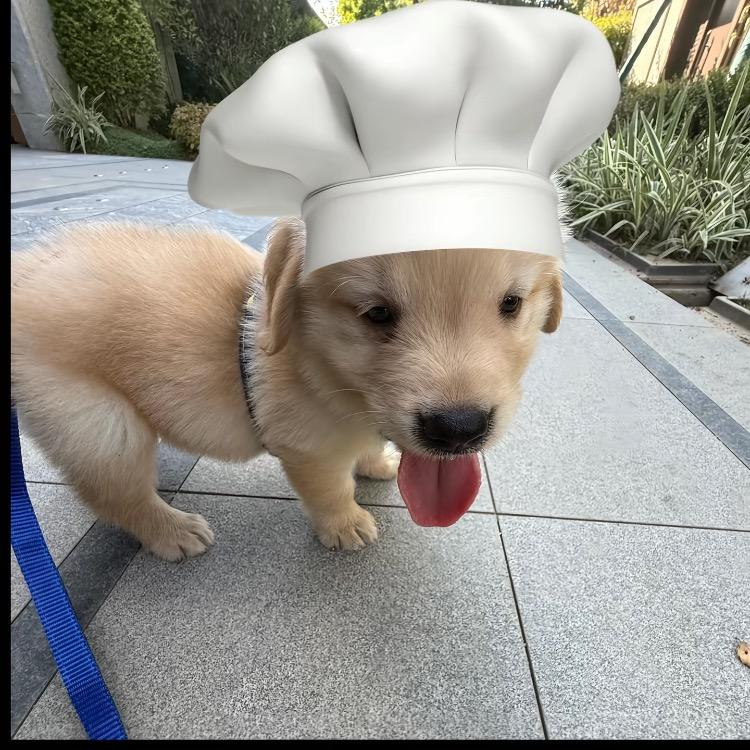 人穷脸丑农村户口