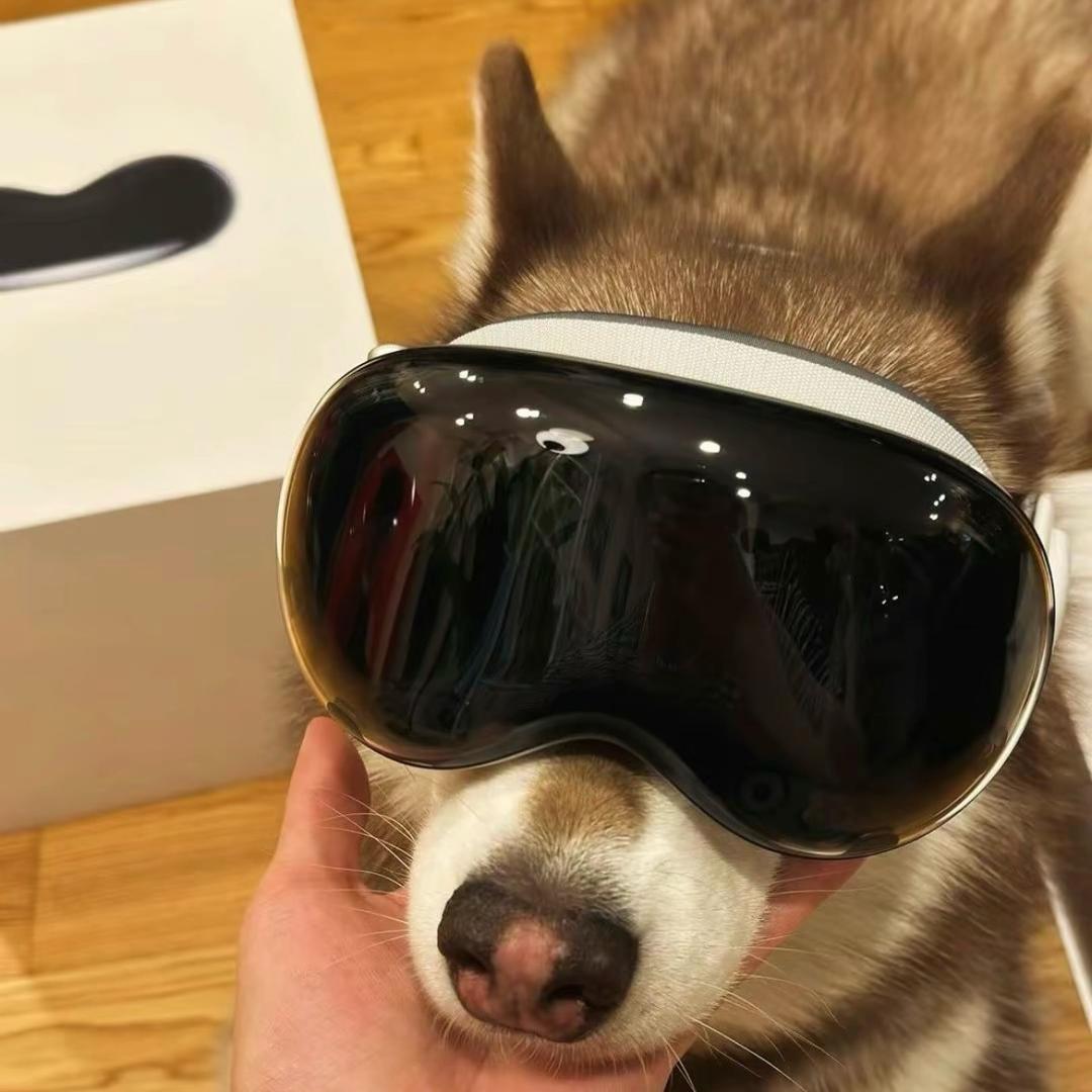 香港下雪就求婚