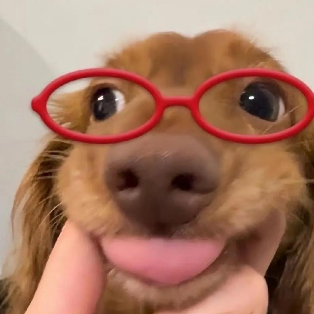 拉粑粑小魔仙