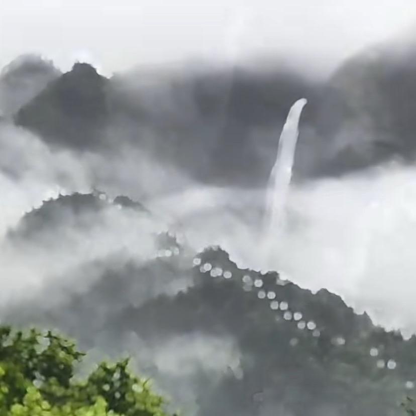 主播梦梦