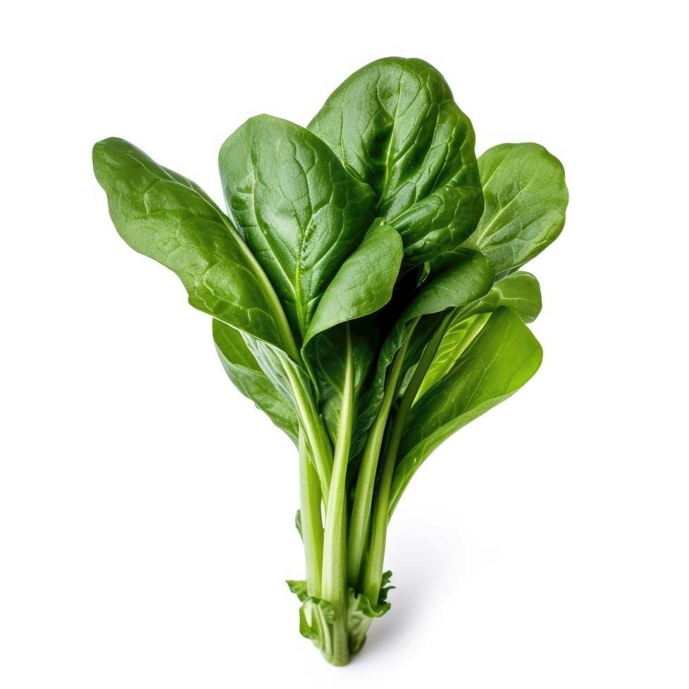 菠菜