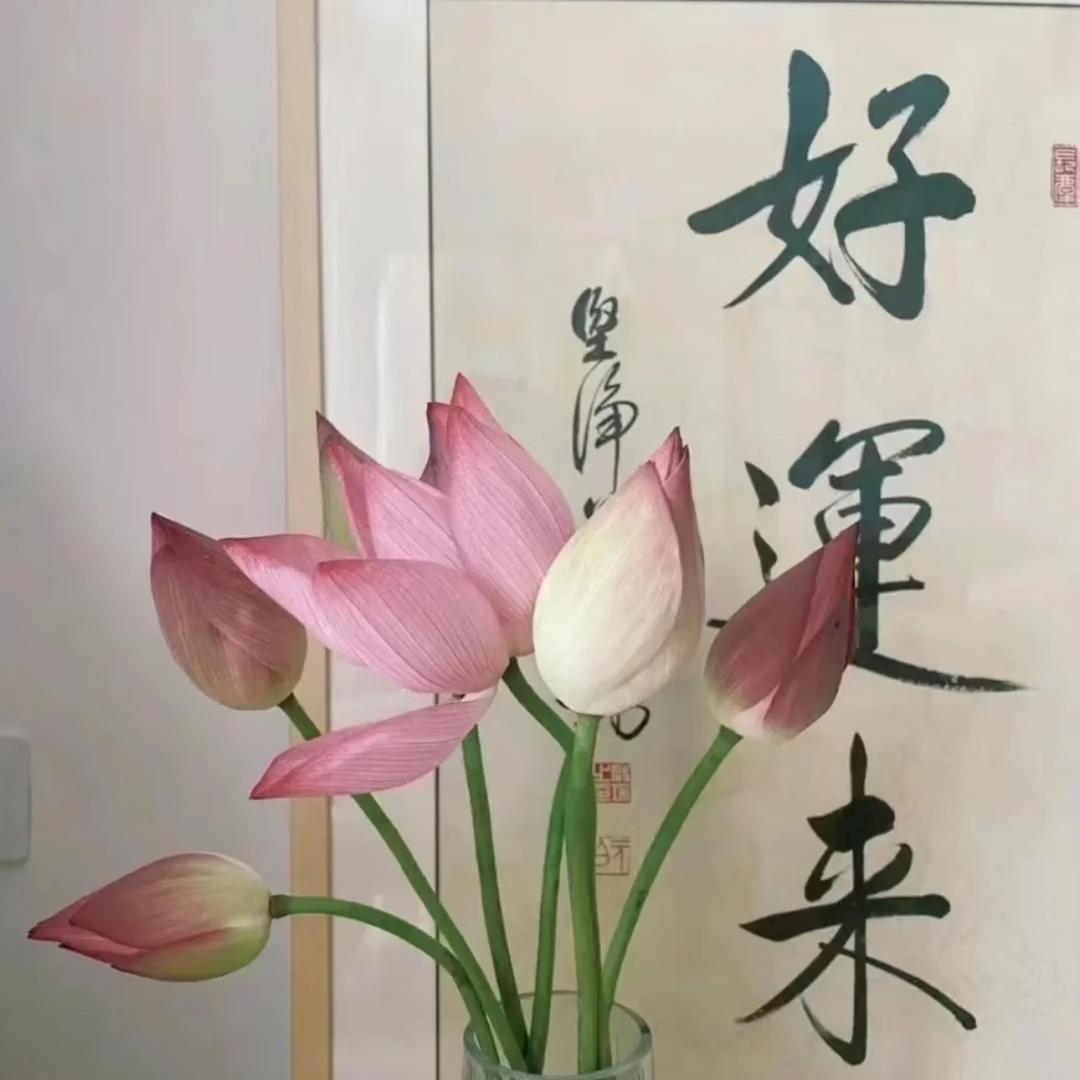 月月古法瑜伽
