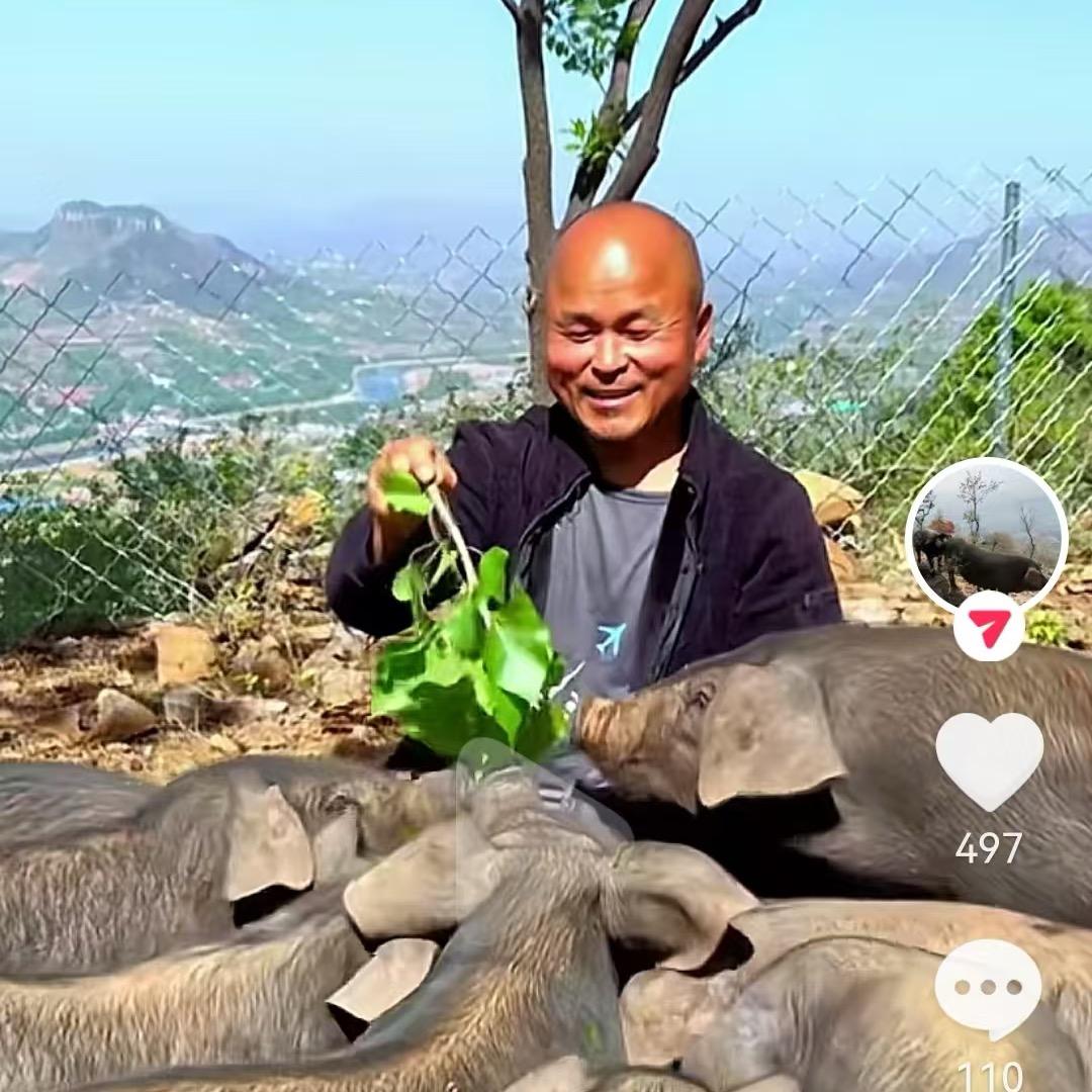 沂蒙三哥