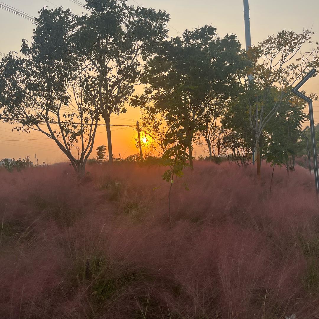 顺风顺水顺财神❤️