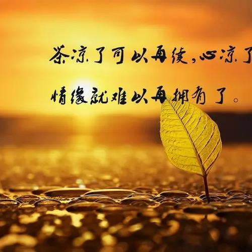 @心向阳无谓伤