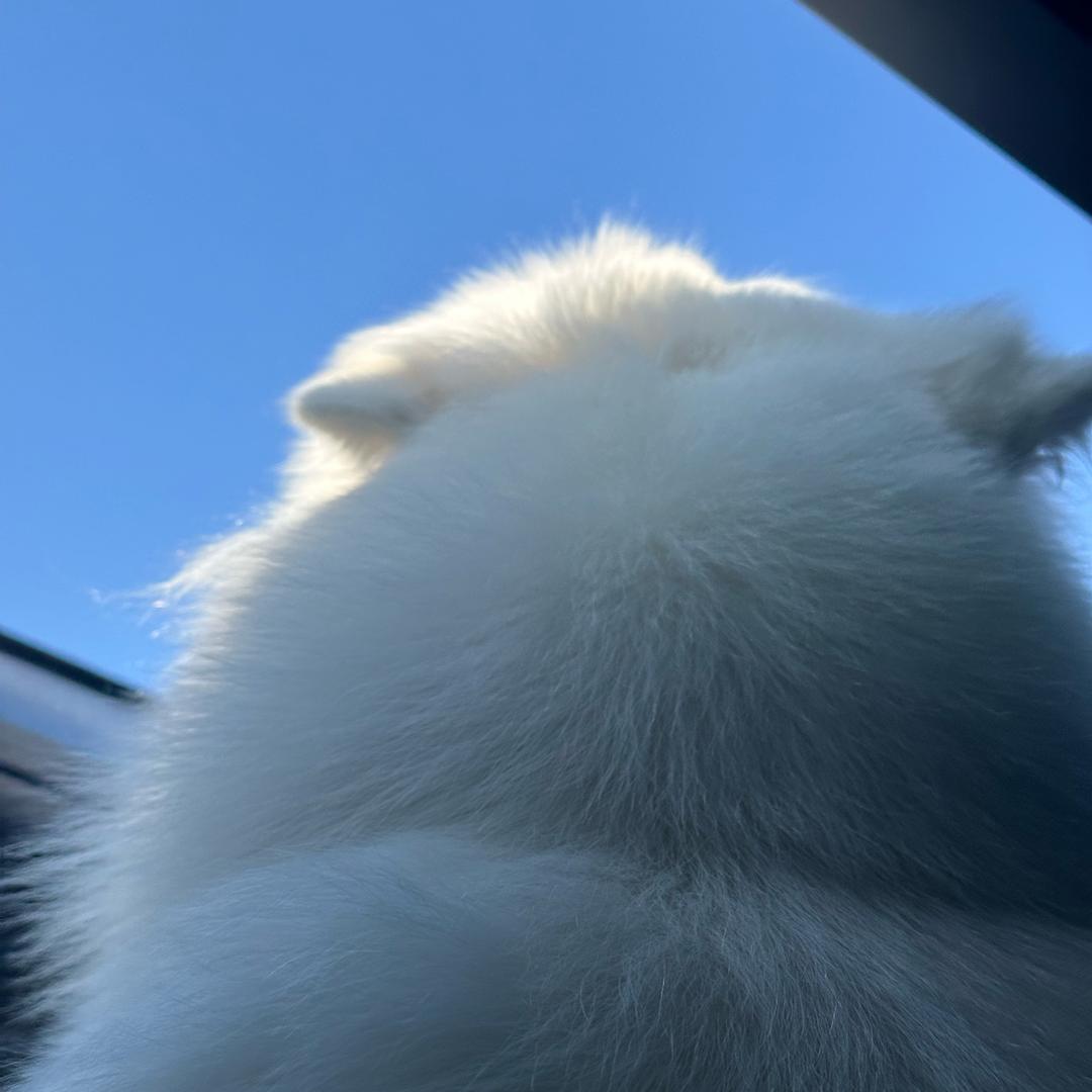 旺仔牛奶耶✌🏻