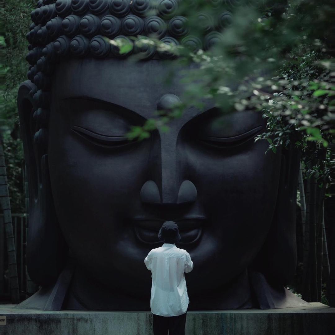 辣条不是很潇洒
