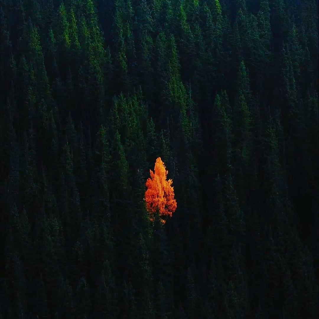 張漾