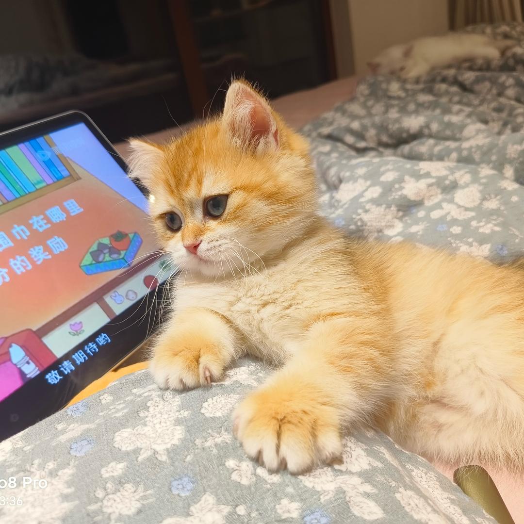 爱是天时地利的迷信