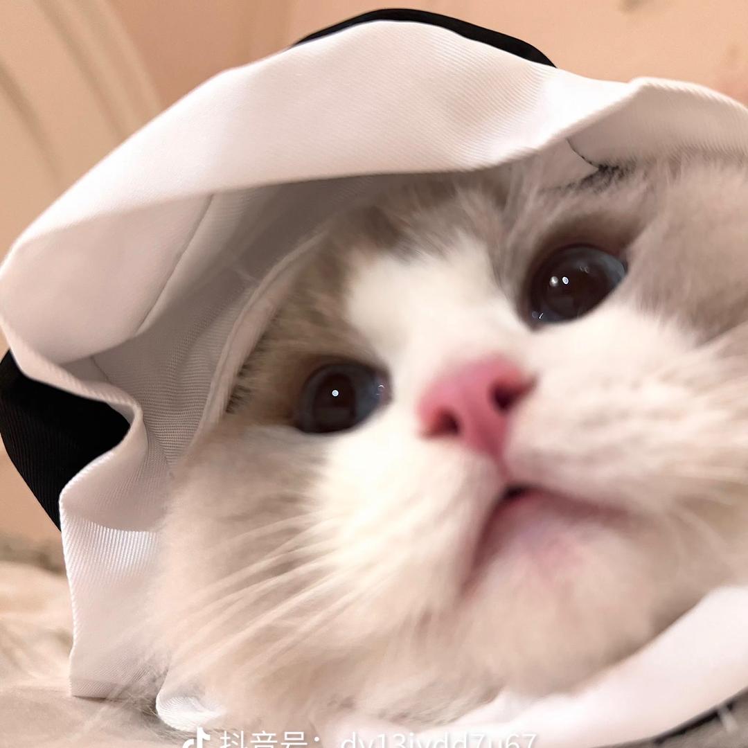 nunu