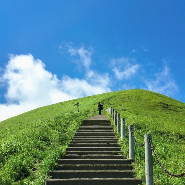 是媛媛啊
