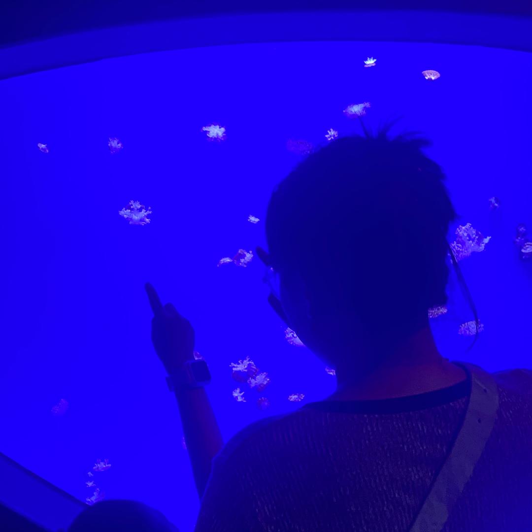 锦鲤附体幸运爆棚的席女士🐟