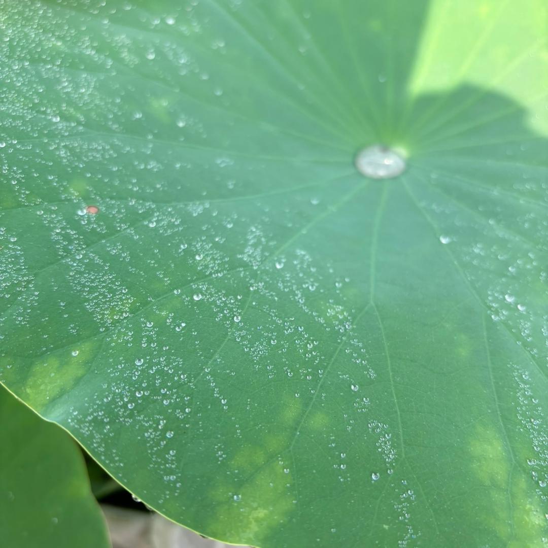 随遇而安🌈