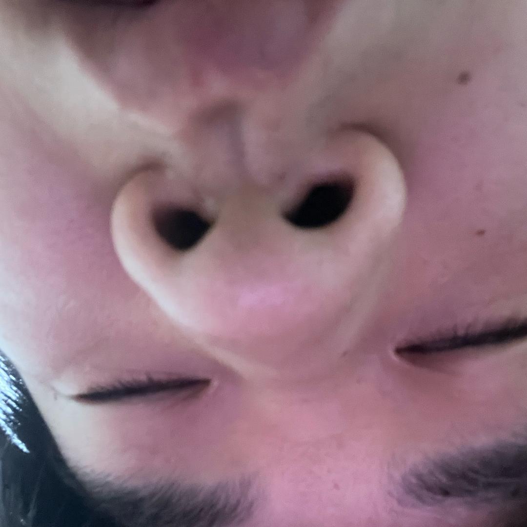元宝是只柴🐕