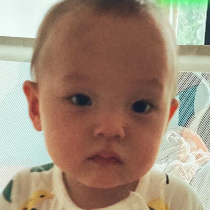 真不吃香菜.