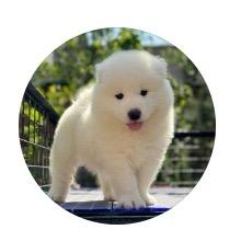 天涯何处无芳草