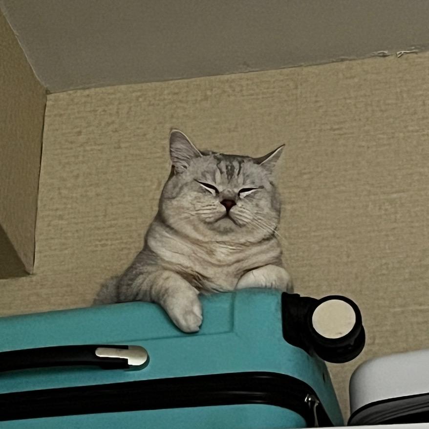 野风拾羽（风总会停的双亲）