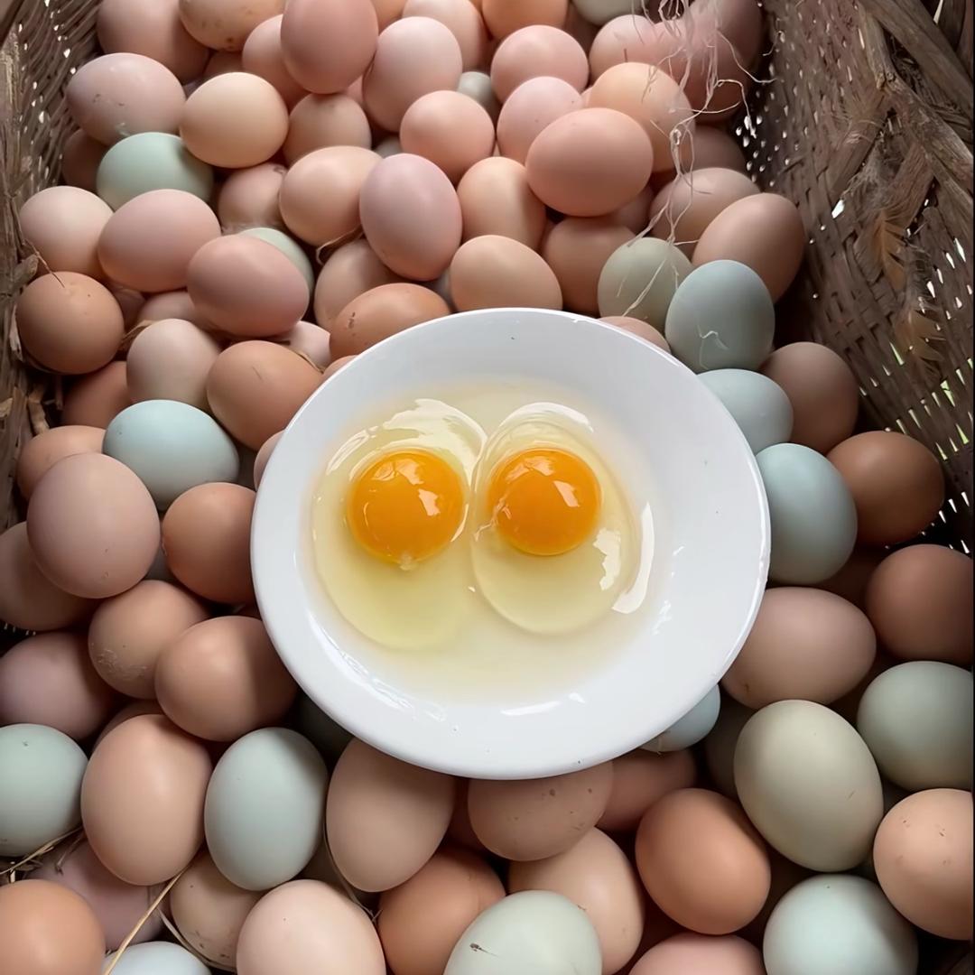 蛋定优选