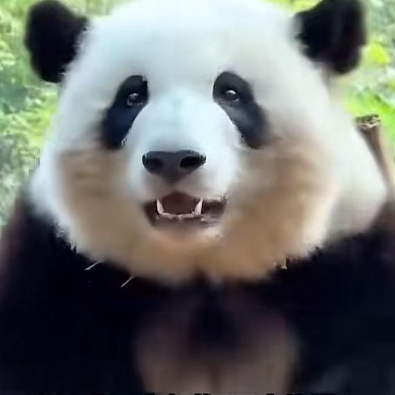 小哥一枚