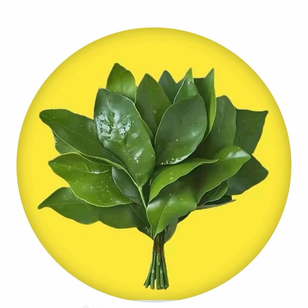 你挡着我发光了🌟