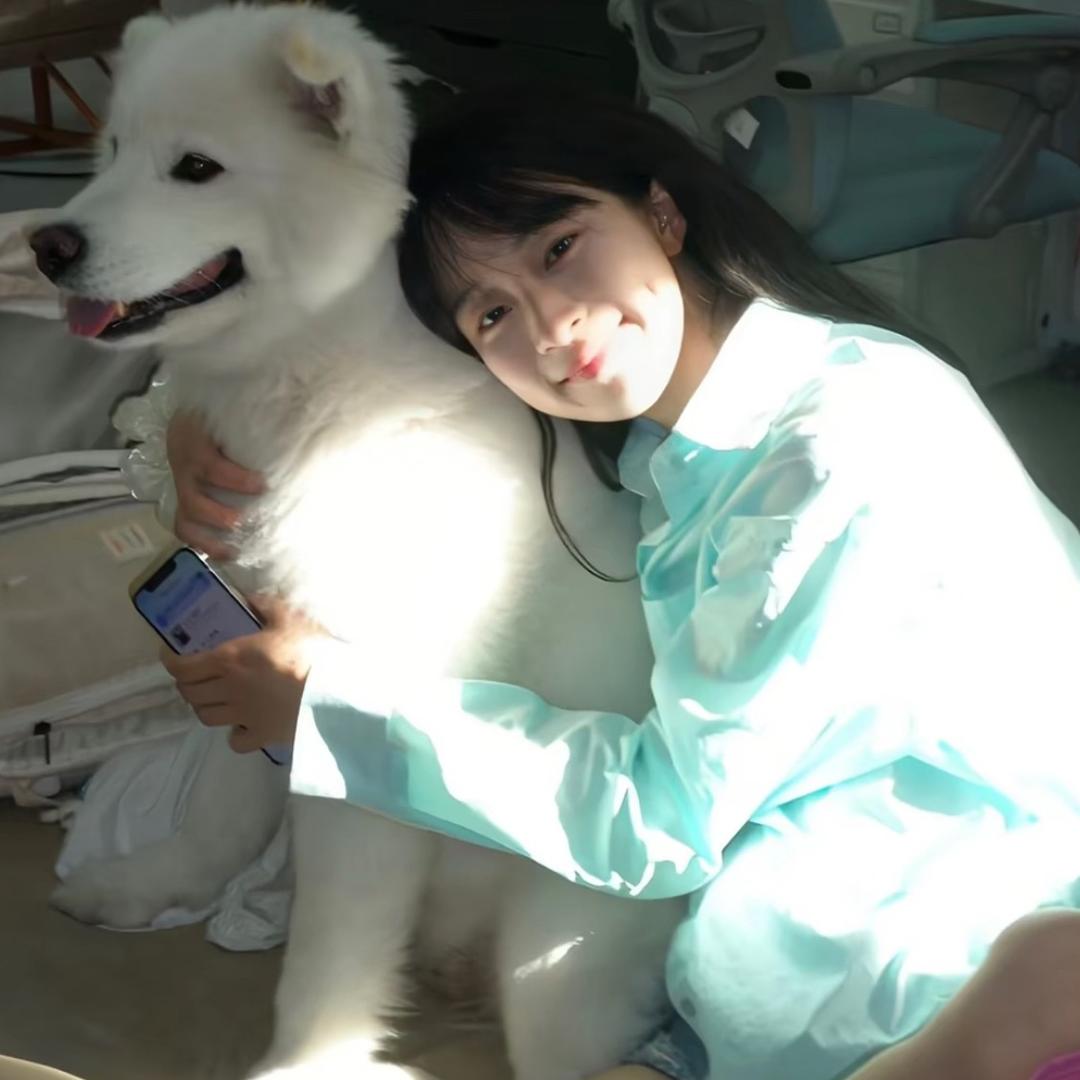 骑老奶奶闯红灯