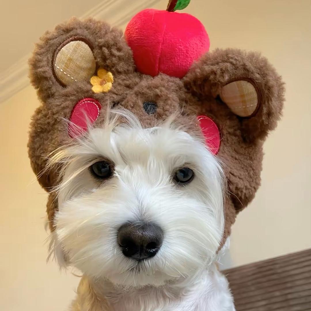 Haha🥨