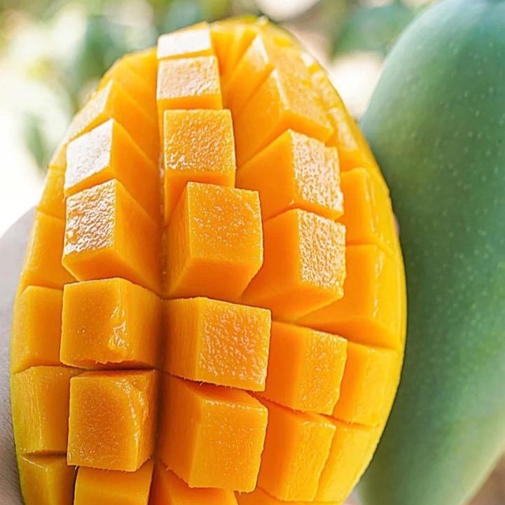 果好吃🥭