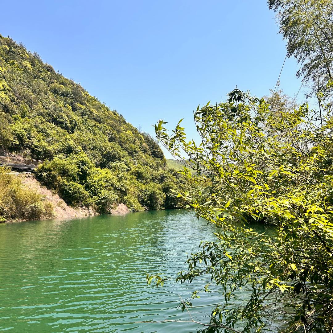 漫步人生（胡译潂）