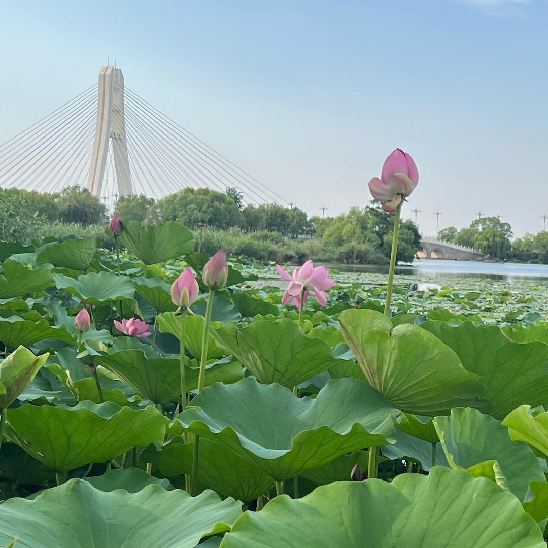 宝格格