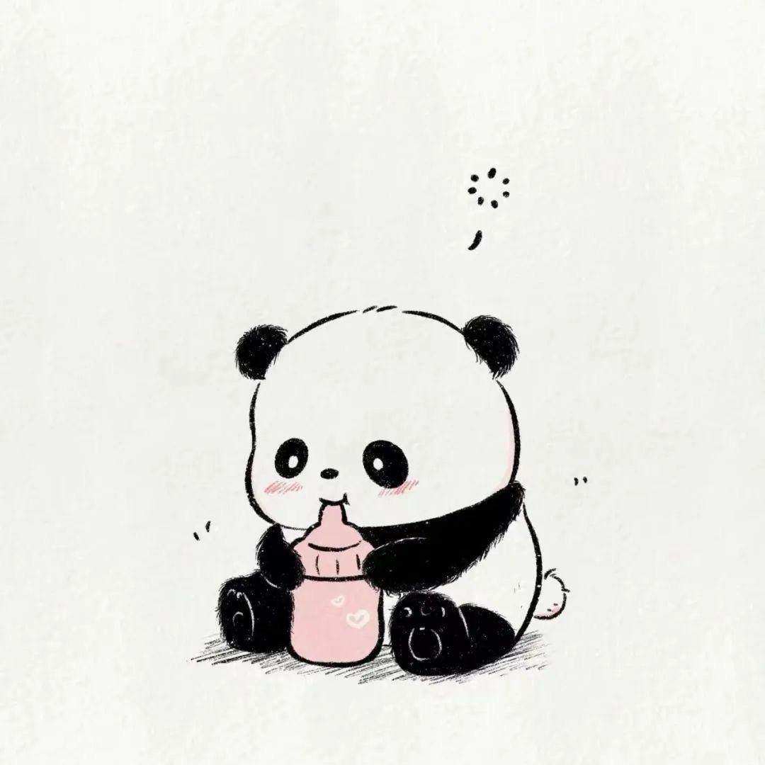 优雅的老六