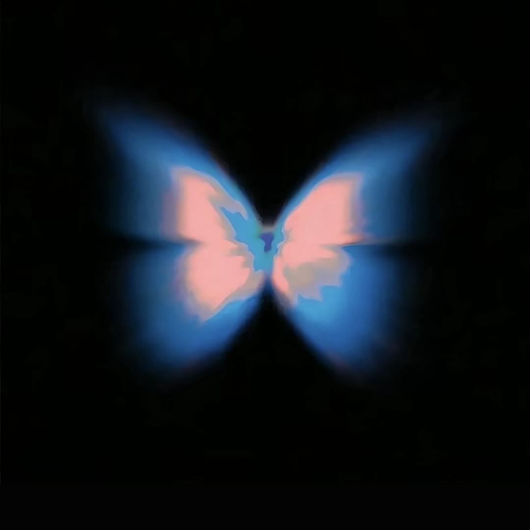 理想与现实（恩师杨导）