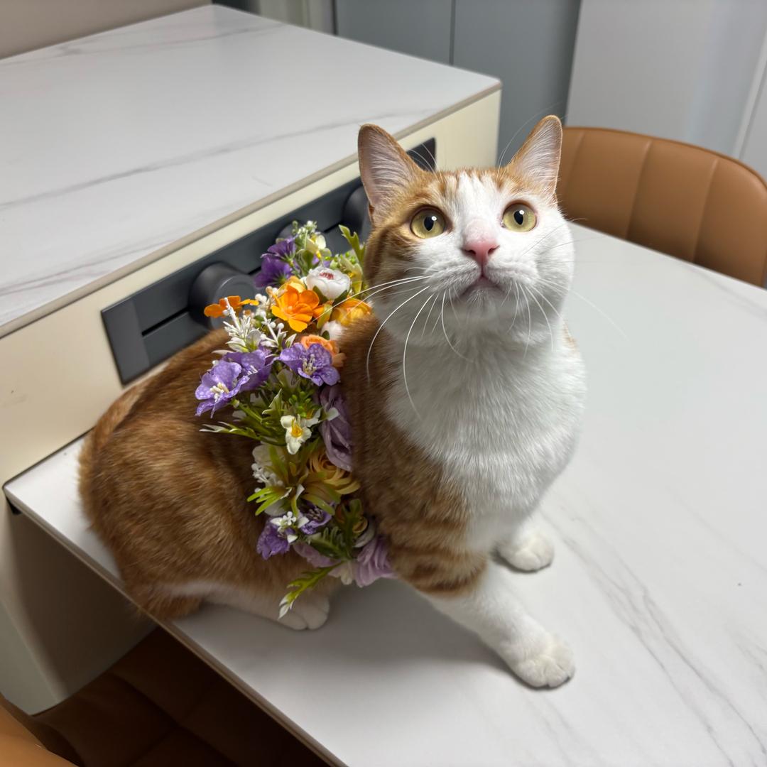 🌈明天是个好天气🌈