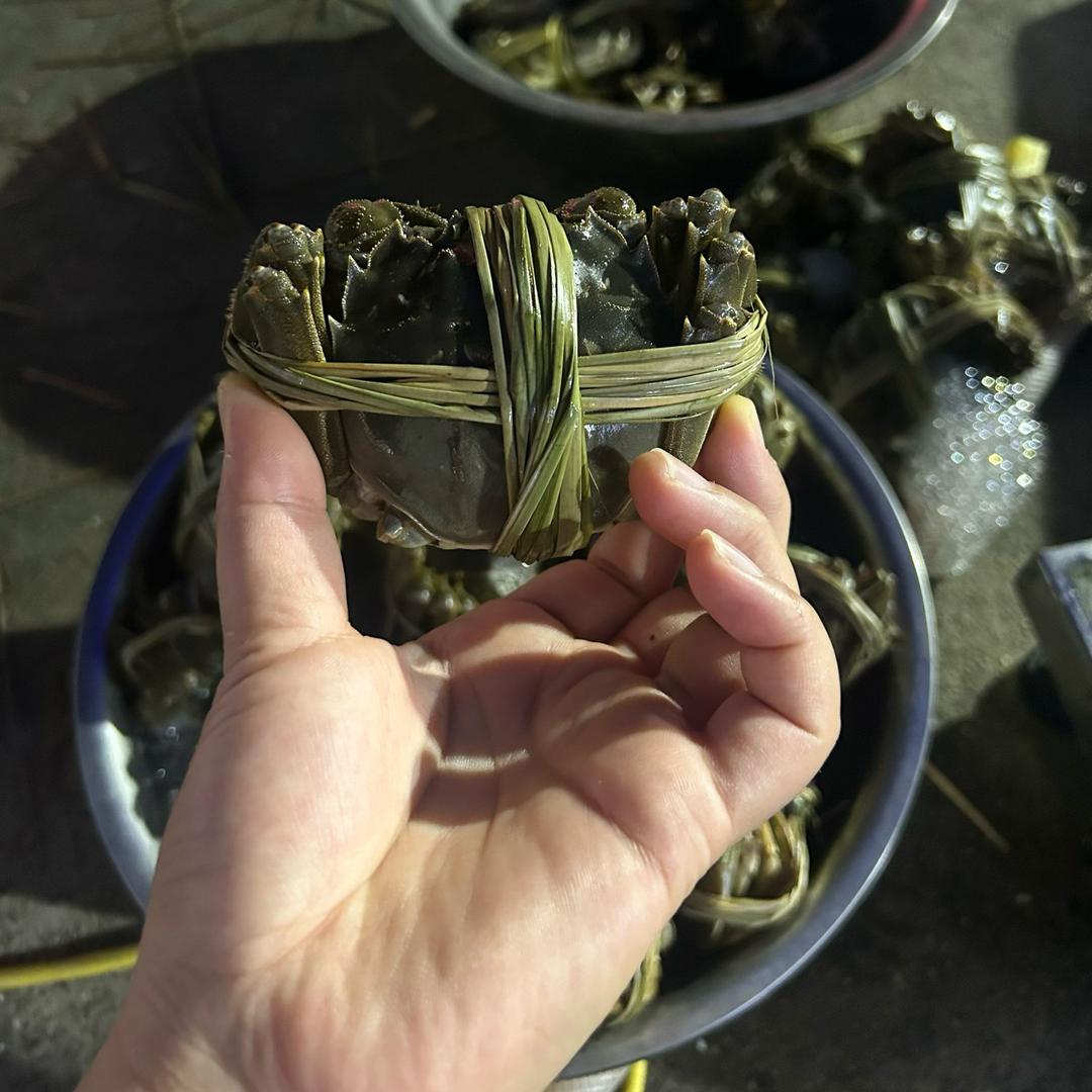 樱桃妈妈卖螃蟹