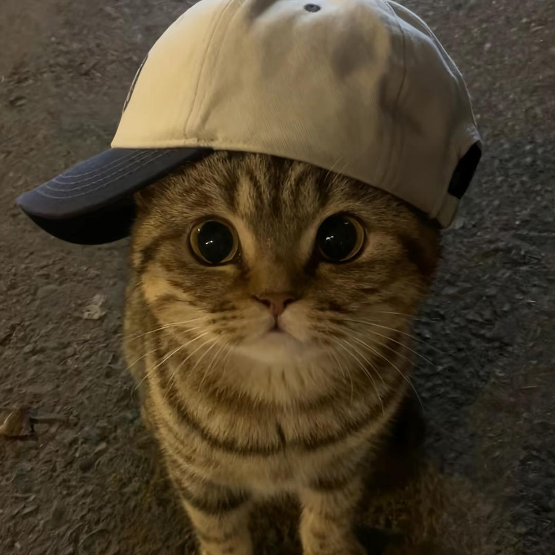梓艾克丝儿